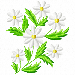 Flowers Embroidery Design 9